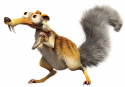 Curious Squirrel's avatar